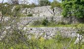 Tour Wandern Vence - Blaquiere - Photo 5