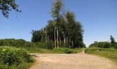 Trail Walking Oigny-en-Valois - en forêt de Retz_81_vers les étangs de Bourcq et sur le GR11 - Photo 4