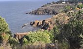 Trail Walking Argelès-sur-Mer - Argelès Collioure par la côte - Photo 1
