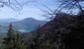 Excursión Senderismo La Bauche - Ballade vers la Bauche - Photo 3