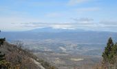 Tour Wandern Vaugines - SityTrail - PF-Vaugines - Le Mourre Nègre à partir de Vaugines - Var - Photo 4