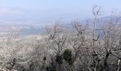 Trail Walking Pont-de-Barret - Plateau d'Éson - Photo 1