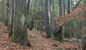 Excursión Senderismo Eguisheim - Rando des cinq châteaux  - Photo 8