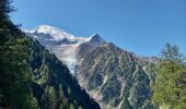 Excursión Senderismo Chamonix-Mont-Blanc - Chalet des Pyramides 1895m 11.7.22 - Photo 14