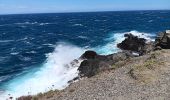 Trail Walking Port-Vendres - les Paulilles - Cap Bear via le sentier du littoral  / retour via collines et vignes  - Photo 13