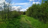 Trail Walking Pocé-sur-Cisse - Pocé-sur-Cisse - Saint-Ouen-les-Vignes - 17km 305m 3h45 (35mn) - 2024 04 10 - Photo 5