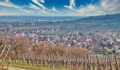 Tocht Te voet Rosheim - Le parcours du vigneron - Photo 8