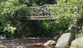 Tour Wandern Jalhay - moulin Thorez . pont du centenaire / aller via la hoêgne  / retour via ravel Sart station  - Photo 3