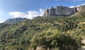 Tour Wandern Gémenos - Col de Bertagne depuis l'espigoulier - Photo 8