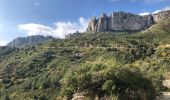 Randonnée Marche Gémenos - Col de Bertagne depuis l'espigoulier - Photo 8