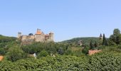 Tour Zu Fuß Gemeinde Hardegg - Hardegger Rundwanderweg - Photo 8