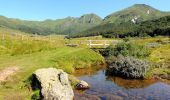 Tour Wandern Chastreix - Chastreix_Sancy_Fontaine Salee - Photo 1