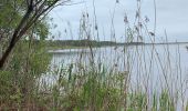 Excursión Senderismo Lacanau - D6E1 etang de cousseau/ ocean AR - Photo 5