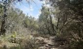 Tour Wandern Céret - mon balcon de Céret - Photo 20