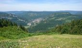 Tour Wandern Septmoncel les Molunes - 190624 - Jura.2 - Montépile  - Photo 3