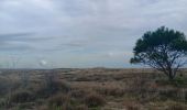 Tour Wandern Argelès-sur-Mer - réserve du mas Larrieu de part et d autre du Tech - Photo 11