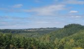 Tocht Stappen Bouillon - rando rochehaut 8/09/2020 - Photo 2