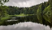 Tocht Stappen La Bresse - la bresse-bassedesfeignes-2024-07-01 - Photo 4