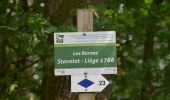 Tour Wandern Sprimont - 20220523 - Banneux 7.1 Km - Photo 8