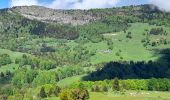 Tocht Stappen Montcel - MASSIF DES BAUGES: PLATEAU DU REVARD AUTOUR DE LA CROIX DES BERGERS - Photo 3