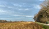 Tour Wandern Anzegem - Kaster 16,5 km - Photo 6