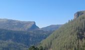 Trail Walking Authon - AUTHON . COL DE LA SAPIE .CRETE DU CLOT DES MARTHES . CABAN DE CHINE N - Photo 8