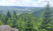 Excursión Senderismo Allarmont - 2019-06-08 Marche Allarmont et ses rochers - Photo 6