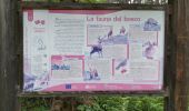 Trail Walking Trasquera - Trasquera - Photo 2