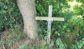 Tocht Stappen Durbuy - Bomal sur Ourthe 170625 - Photo 15