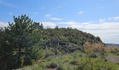 Trail Walking Caussols - De Caussols vers le sommet et le plateau de Calern - Photo 3