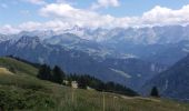 Excursión Senderismo Fillière - GLIERES: MONUMENT - COL DE L'OVINE - CHALET DES AUGES - Photo 8