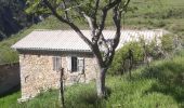 Trail Walking Bayons - BAYONS  . col des Sagnes , Peyrouret , Picouse , bergerie de Gautiere , Piaure , Giaire n - Photo 4