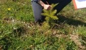 Tocht Te voet Bièvre - Se mouvoir et s'émouvoir au gré de l'Ardenne insoupçonnée. Parcours complet - Photo 1