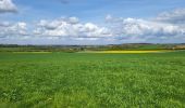 Trail Walking Havelange - Barvaux en Condroz 220425 - Photo 11