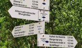 Tocht Te voet Baiersbronn - Schöner Platz-Hänger - Photo 6