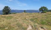 Trail Walking Hohrod - Circuit historique 1914-1918 Hohrodberg - Linge - Photo 6