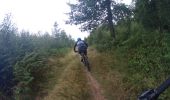 Percorso Mountainbike Couvin - pesche a chimay - Photo 3