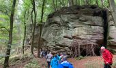 Tocht Stappen Beaufort - Sentier Bigelbach - Photo 3