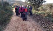 Excursión Senderismo La Garde-Adhémar - val des nymphes  - Photo 9