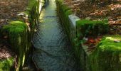 Excursión Senderismo Saou - La Grande Combe en Forêt de Saoû - Photo 14