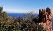 Trail Walking Saint-Raphaël - pic du cap Roux depuis le cap roux - Photo 2