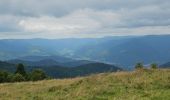 Excursión Senderismo Bitschwiller-lès-Thann - Arnaud et noemie - Photo 2