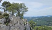 Percorso Marcia Ollioules - Gros Cerveau - Ollioules - Photo 7