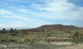 Trail Car Tarmigt - Ouarzazate M'Hamid  - Photo 15