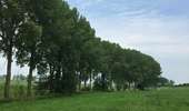 Trail Walking Silly - Silly « Vers St-Marcoult » - Photo 15