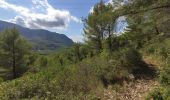 Randonnée Marche Le Revest-les-Eaux - Reconnaissance tracés autour de la Ripelle - A la découverte de nouveaux chemins - Photo 2