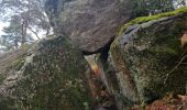 Excursión Senderismo Fontainebleau - Fontainebleau - Sentier des carriers - Photo 15