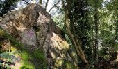 Randonnée Marche Incourt - La promenade des grosses pierres ( 4,9km ) - Photo 8