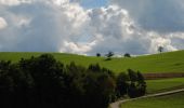 Tour Zu Fuß Laufen-Uhwiesen - Nohlbrücke - Wehrbrücke Rheinau - Photo 5