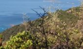 Randonnée Marche Ajaccio - sentier des crêtes ajaccio - Photo 3